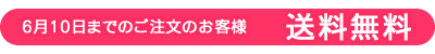 送料無料