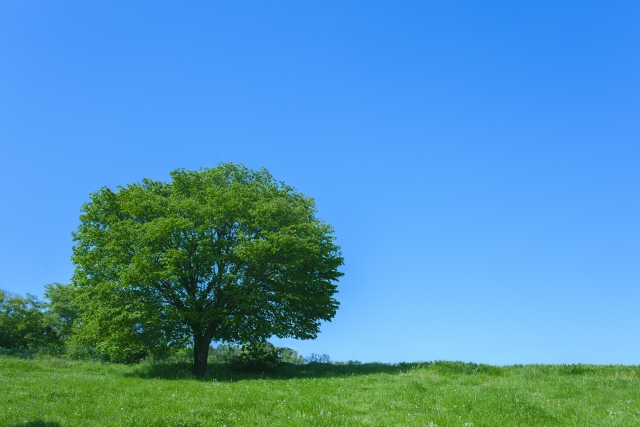 ノベルティ:一括更新テスト再検証